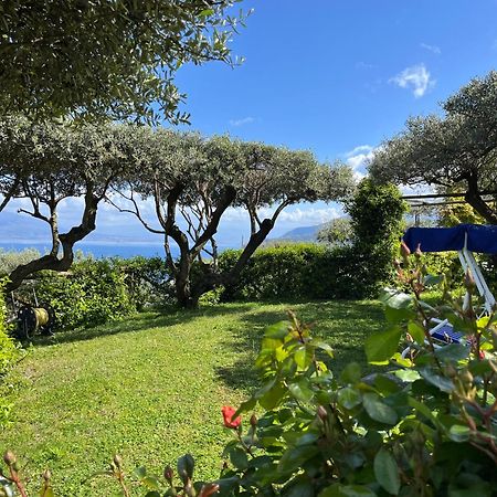 Hotel Sorrento Olive Tree Garden Esterno foto