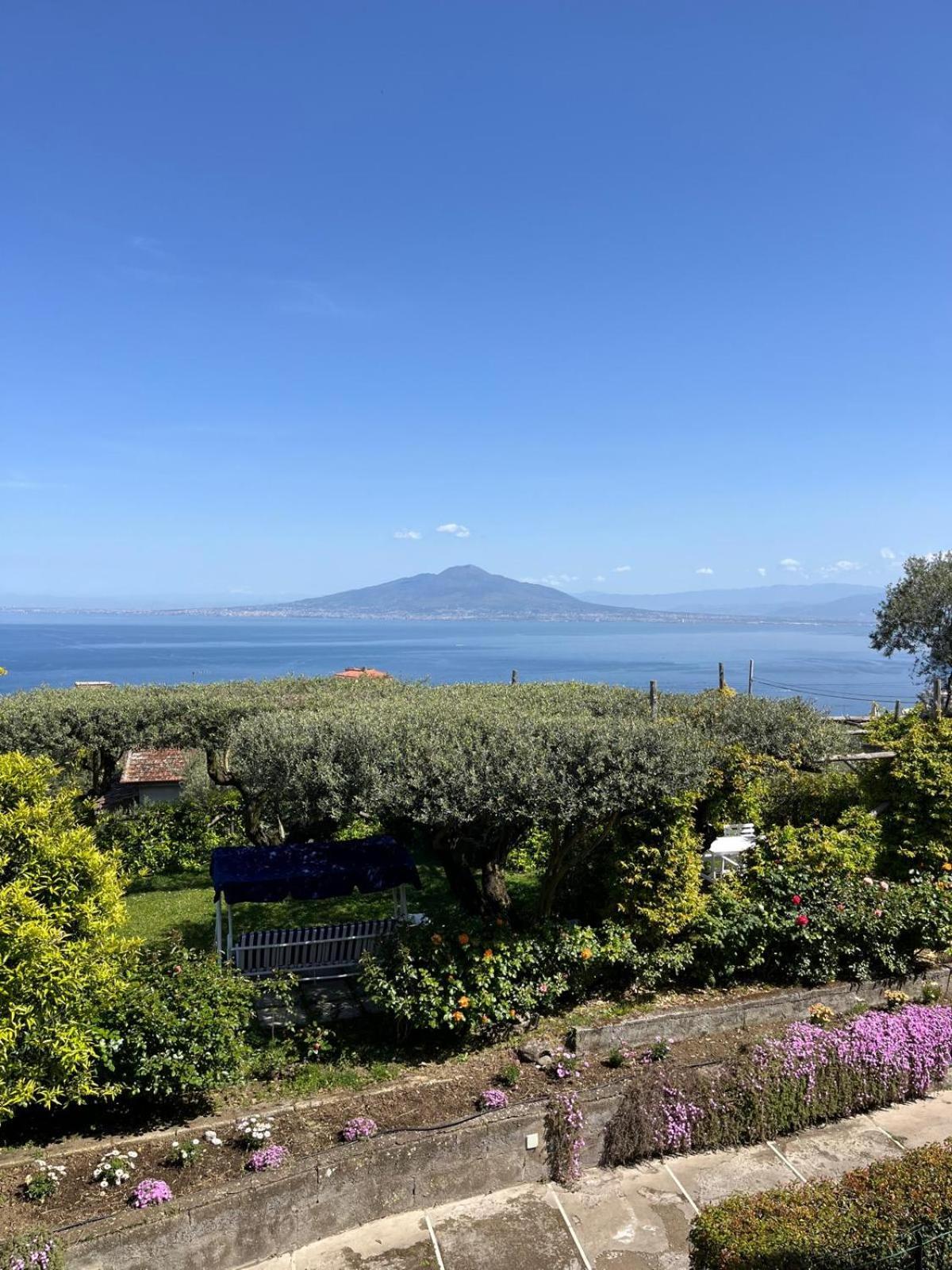 Hotel Sorrento Olive Tree Garden Esterno foto