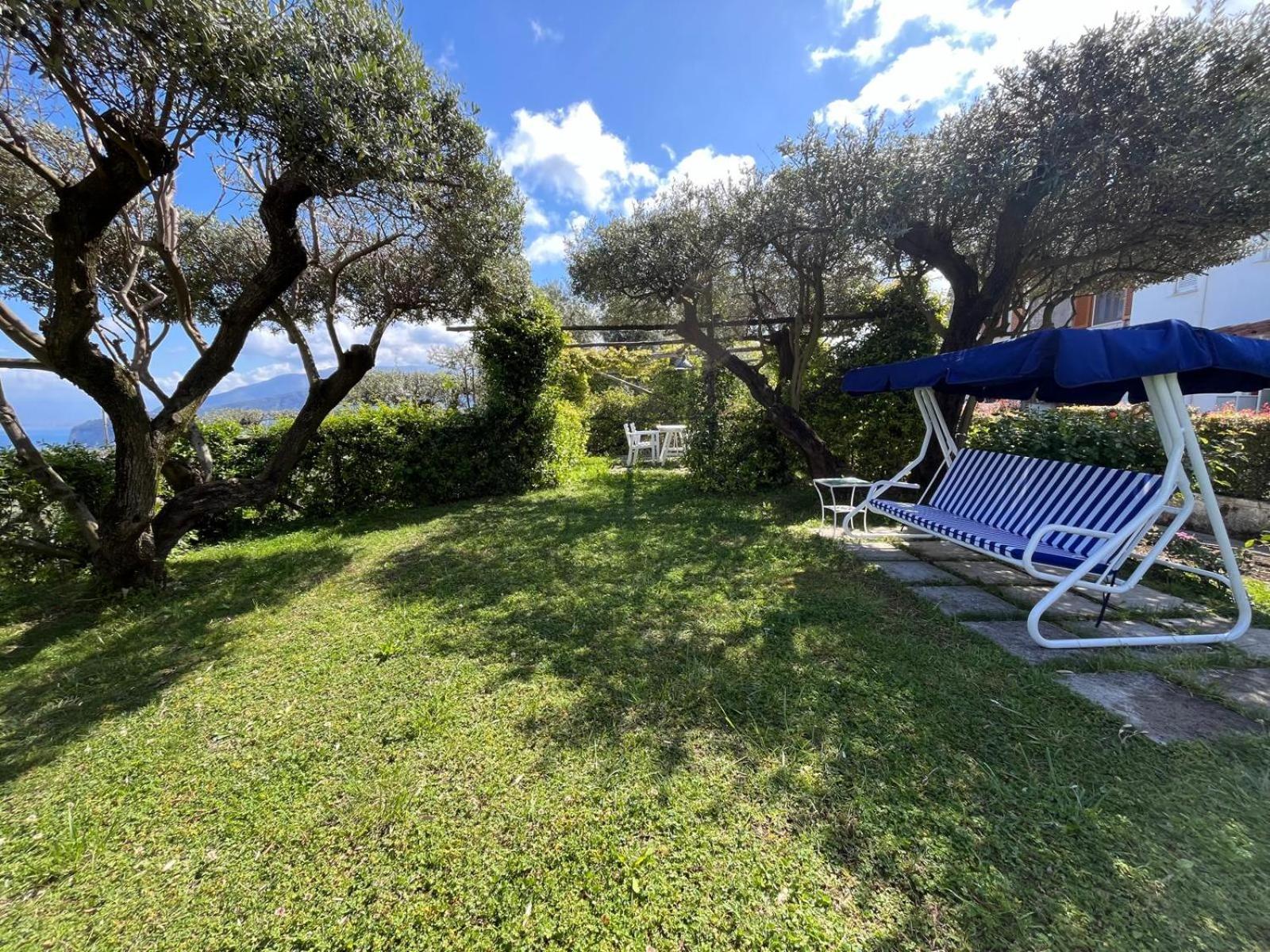 Hotel Sorrento Olive Tree Garden Esterno foto