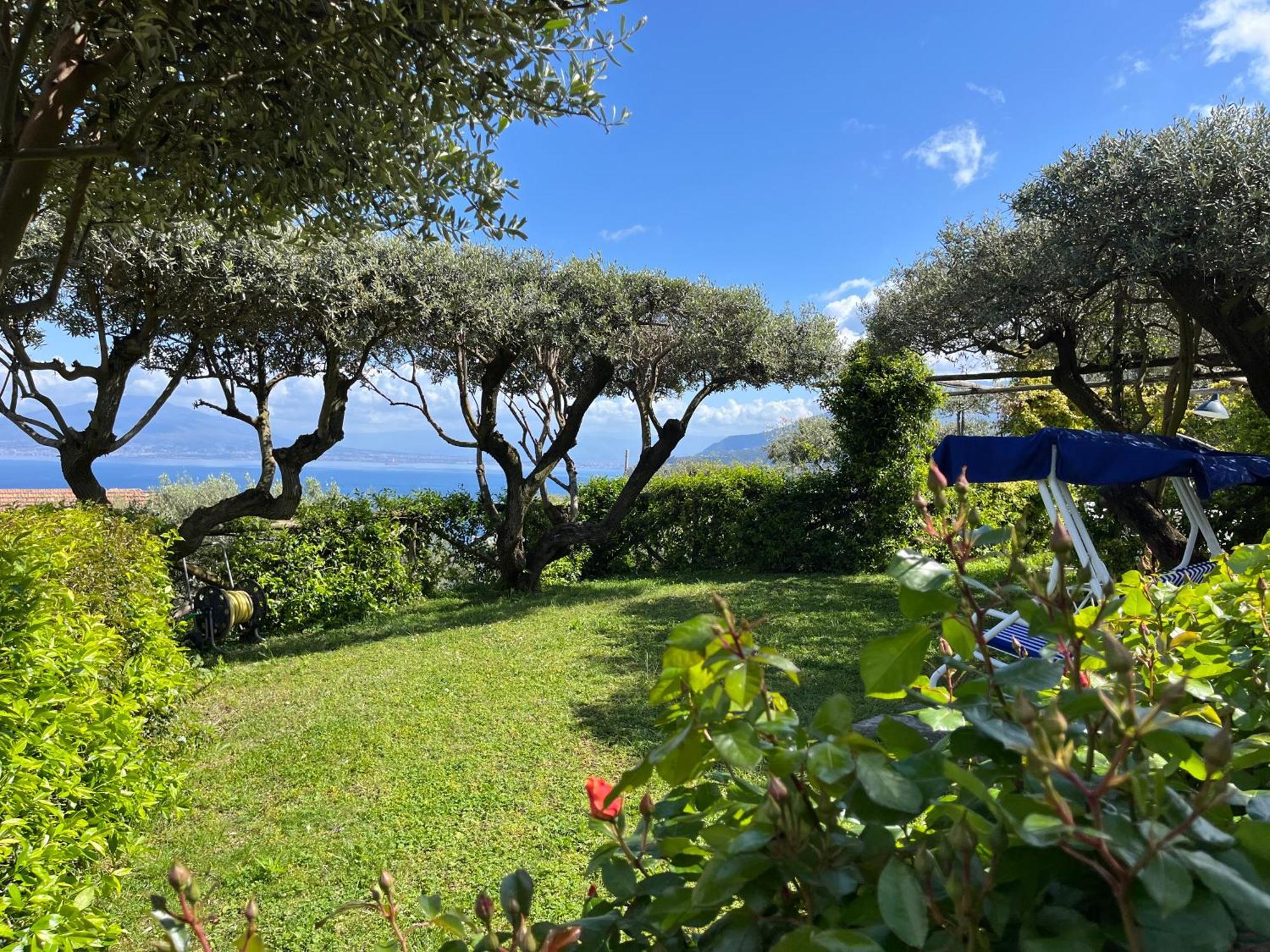 Hotel Sorrento Olive Tree Garden Esterno foto