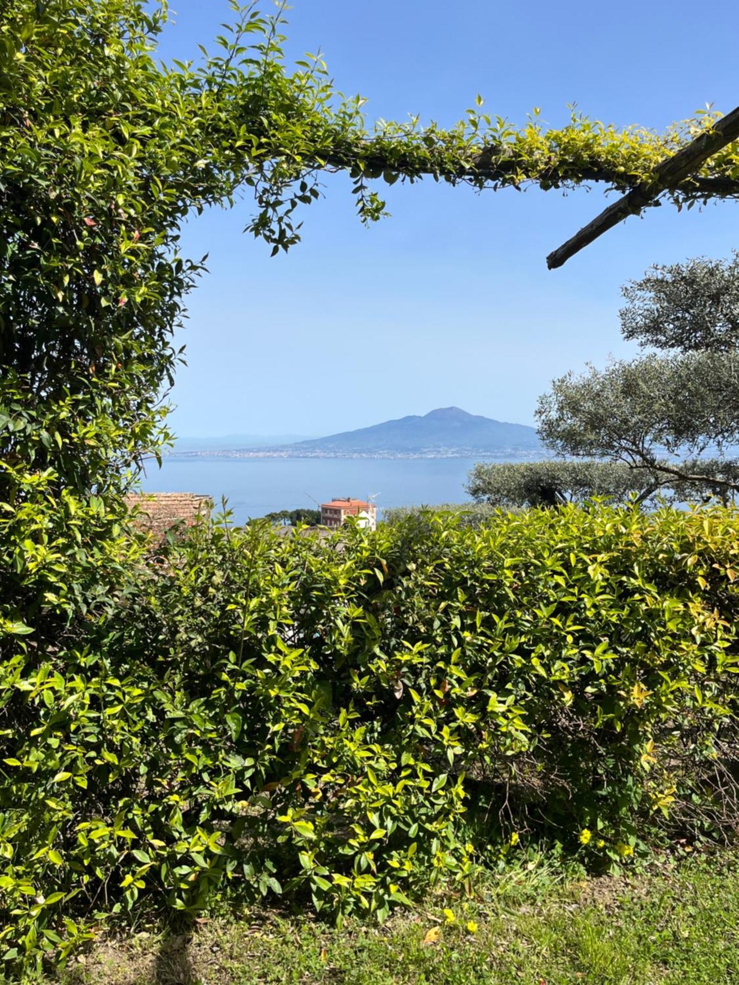Hotel Sorrento Olive Tree Garden Esterno foto