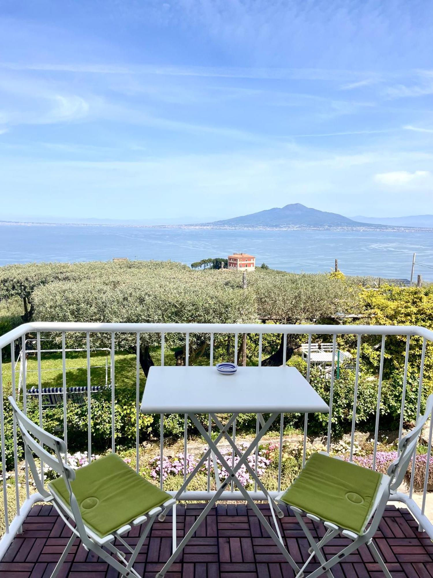 Hotel Sorrento Olive Tree Garden Esterno foto